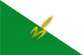 Flag of Carcasi