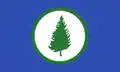 Flag of Cedar Bluff, Alabama