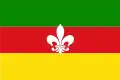 Flag of Concordia, Antioquia