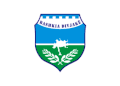 Flag of Divjakë