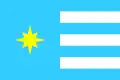 Flag of Dobrovelychkivka Raion