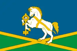 Flag of Druzhinino