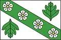 Flag of Hlohovice