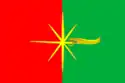Flag of Kartaly