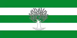 Flag of Líjar, Spain