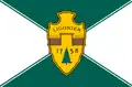 Flag of Ligonier, Pennsylvania