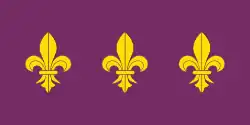 Flag of Los Gallardos, Spain