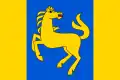 Flag of Martinice v Krkonoších