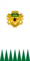 Flag of Mezőkovácsháza (rom. Covaciu de Câmpie)