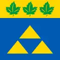 Flag of Novoiavorivsk