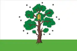 Flag of Osa