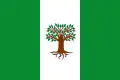Flag of Pachavita