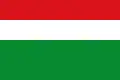 Flag of Paratebueno