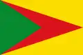 Flag of Paz de Ariporo