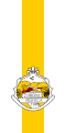 Flag of Pesnica pri Mariboru