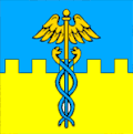 Flag of Rava-Ruska