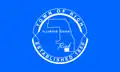Flag of Rich Township