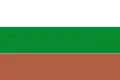 Flag of Sáchica