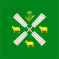 Flag of Săiți