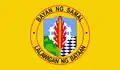 Flag of Samal