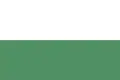 Flag of San Antonio, Tolima