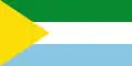 Flag of San Vicente del Caguán