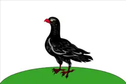 Flag of Sanchursk