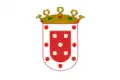 Flag of Santiago de los Caballeros