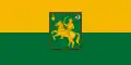 Flag of Somlójenő