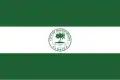Flag of South Miami, Florida