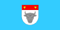 Flag of Strizivojna