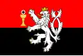 Flag of Tábor