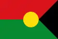 Flag of Trinidad, Casanare