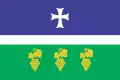 Flag of Tsageri Municipality