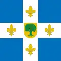Flag of Villaquejida