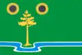 Flag of Vylkovo