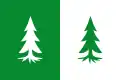 Flag of Yunquera