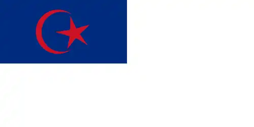 Marine flag