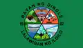 Flag of Dingle