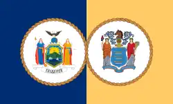 Flag of the PAPD