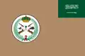 Saudi Arabian Army