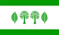 Flag of Buchholz