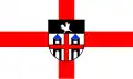 Flag of Burg
