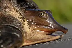 Close up