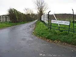 Cheshire railings