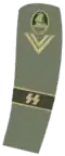 Gruppenführer-Stellvertreter