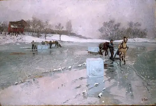 Iskjøring 1884