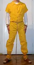 Inmate in "full harness" transport restraints