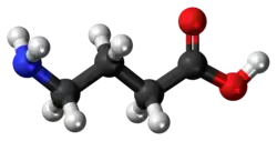 GABA molecule