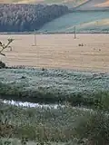 The Gala Water at Allanshaugh